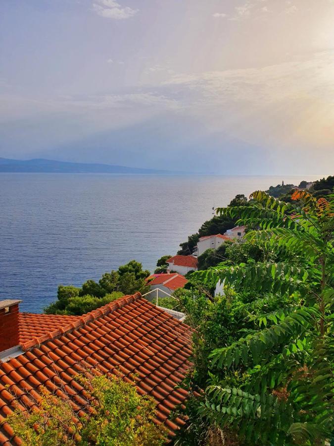 Apartment Zadoda Omiš Exteriör bild